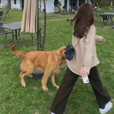 黑道家族